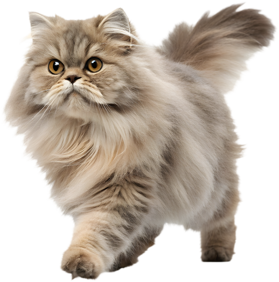 Create Lifelike Motion with Running Cat Illusion Clipart. . png