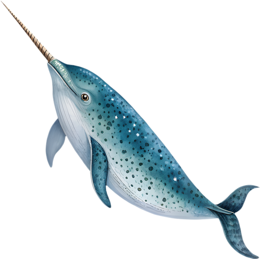Ocean Whimsy, Narwhal Watercolor Clipart Adds Elegance to Creations. . png