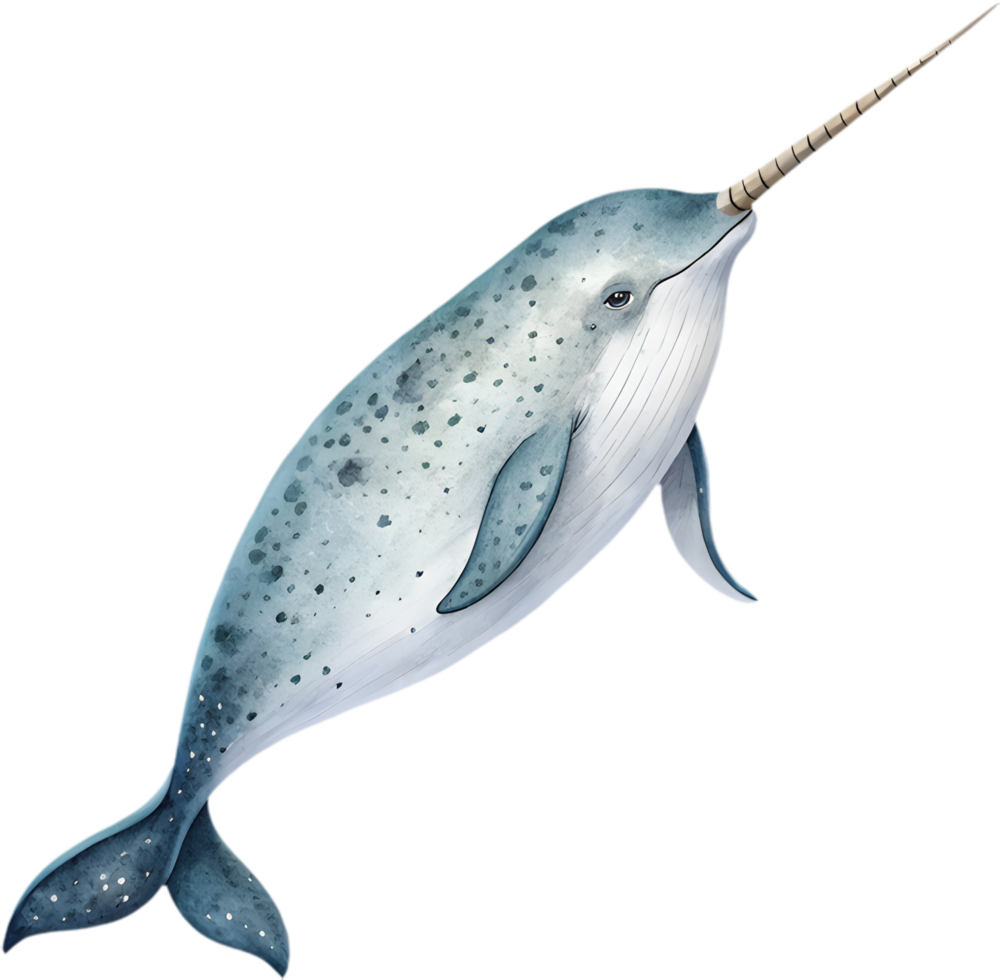 Enchanting Narwhal Clipart in Watercolor for Elegant Marine Designs. . png