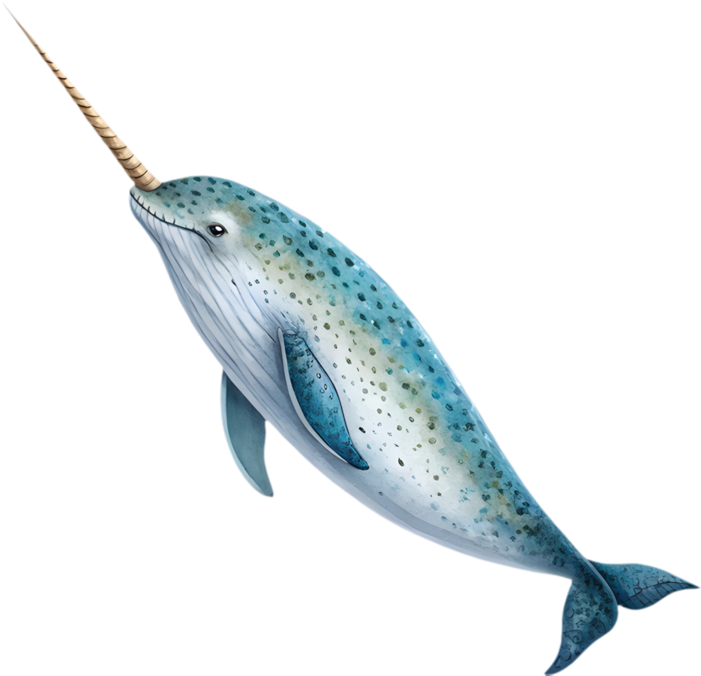 Whimsical Narwhal Clipart Features Enchanting Watercolor Oceanic Elegance. . png