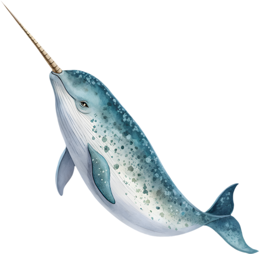 Whimsical Ocean Narwhal Watercolor Clipart for Elegant Marine Designs. . png