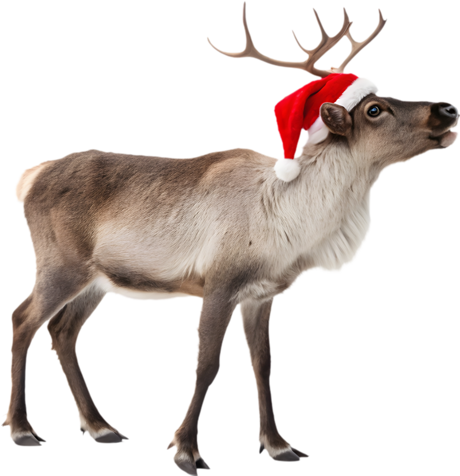 Christmas Reindeer Clipart with Santa Hat Adds Holiday Charm. . png