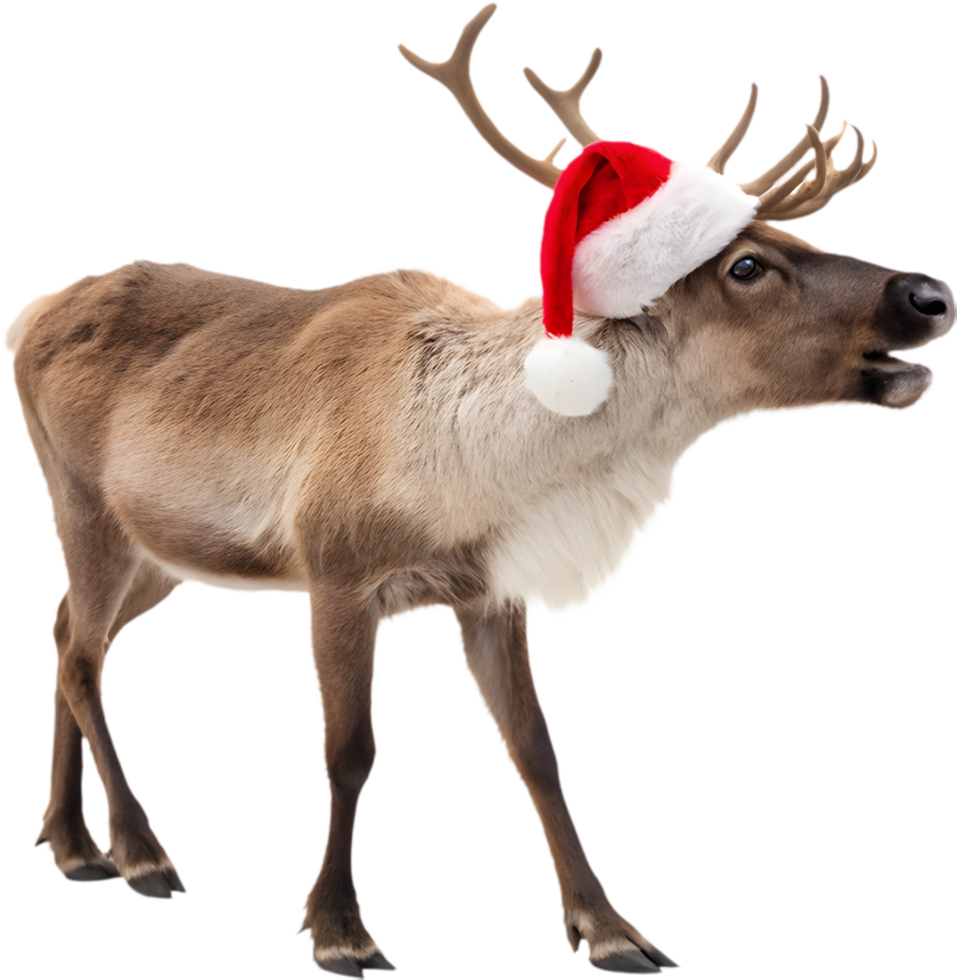 Reindeer Clipart in Santa Hat Perfect for Holiday Graphics. . png