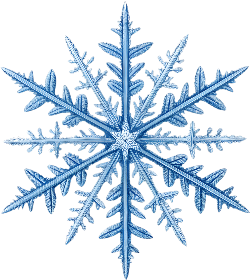 Crystalline Snowflake Clipart for Adding Charm to Holiday Graphics. . png