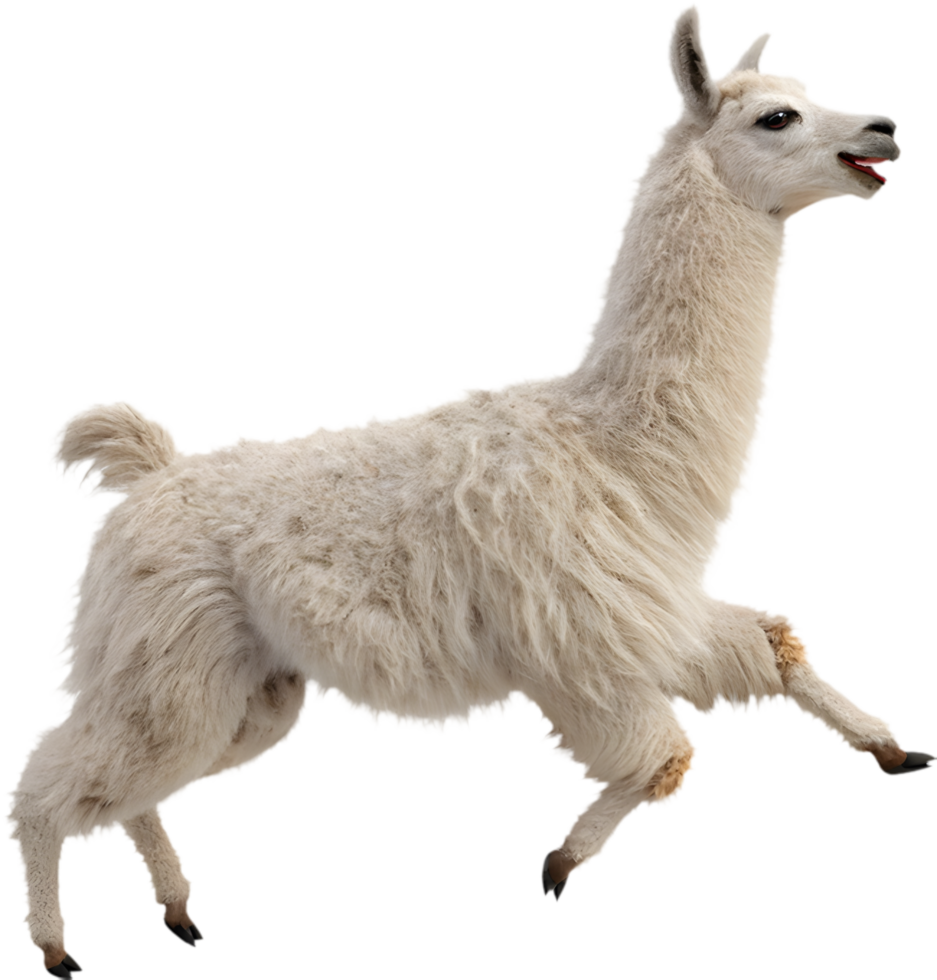 Adorable Cartoon Kawaii Llama Running Clipart for Event Invitations. . png