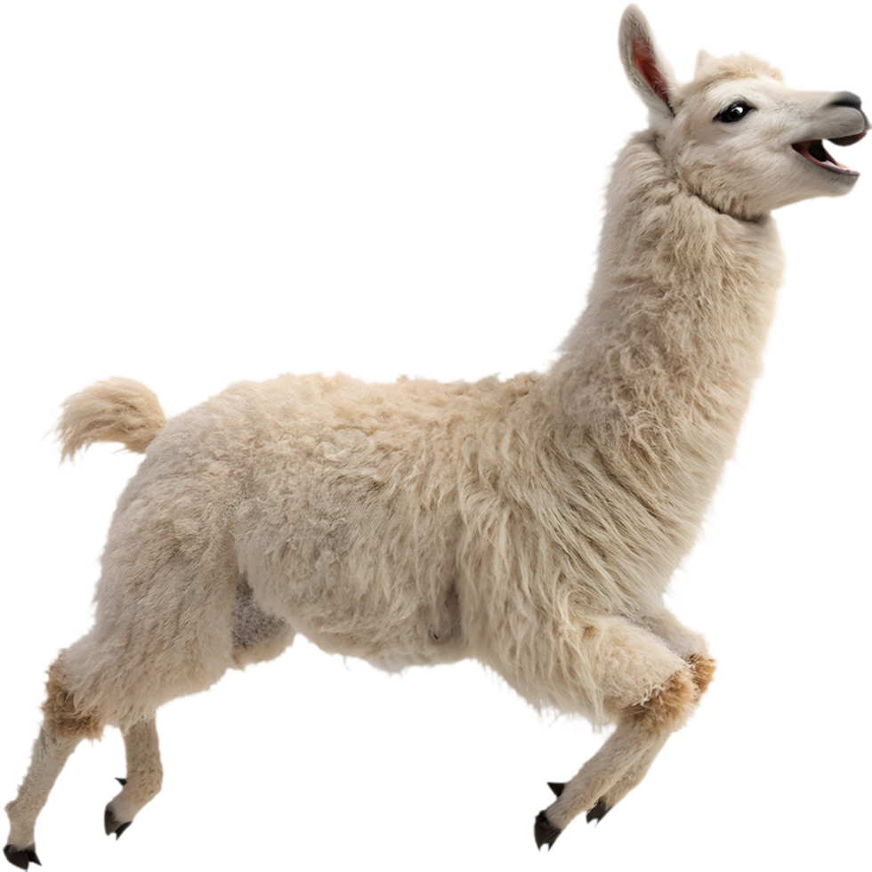 Kawaii Llama Running Joyfully Clipart for Fun Event Invitations. . png