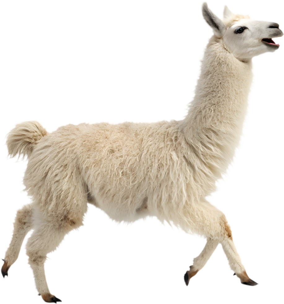 Kawaii Llama Running Joyfully Clipart for Holiday-Themed Projects. . png