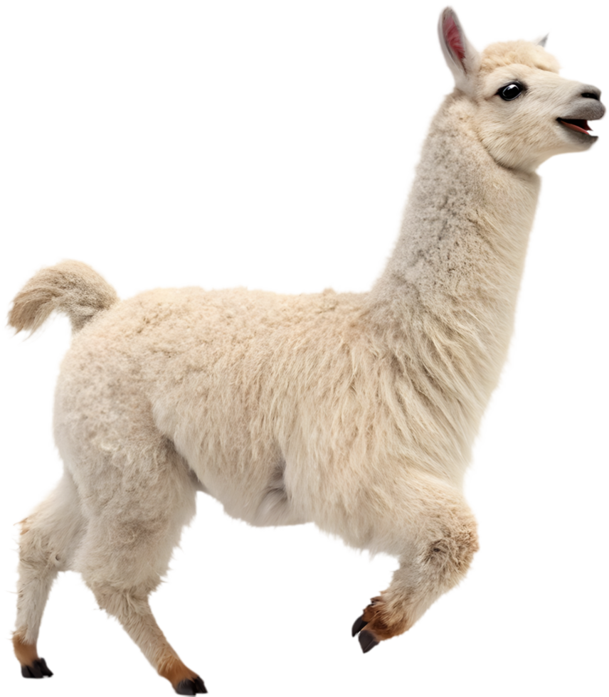 Adorable Kawaii Llama Running Joyfully Clipart for Seasonal Invitations. . png