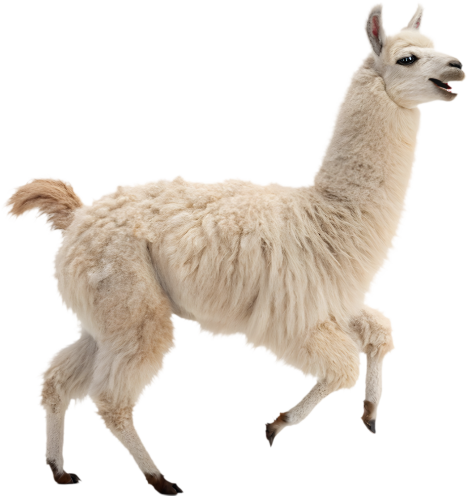 Joyful Cartoon Llama Running Clipart for Playful Art Creations. . png