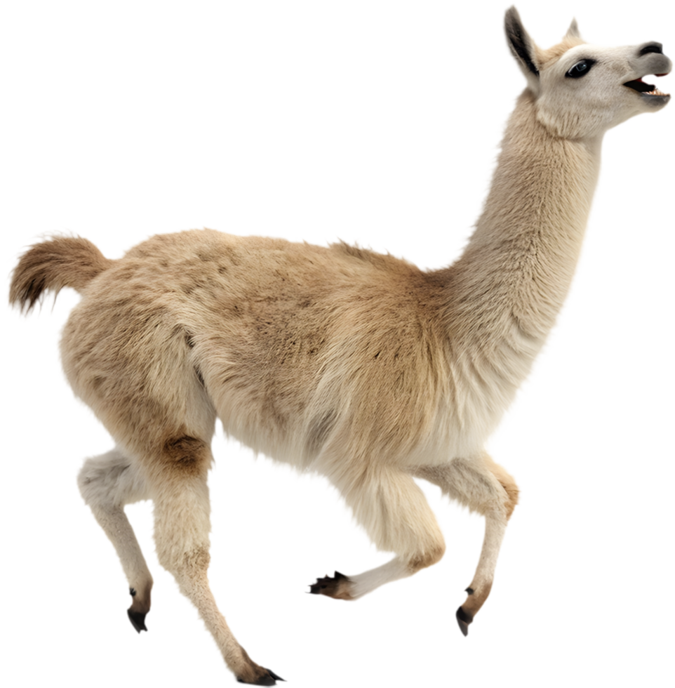 Kawaii Llama Running Joyfully Clipart for Fun Digital Projects. . png