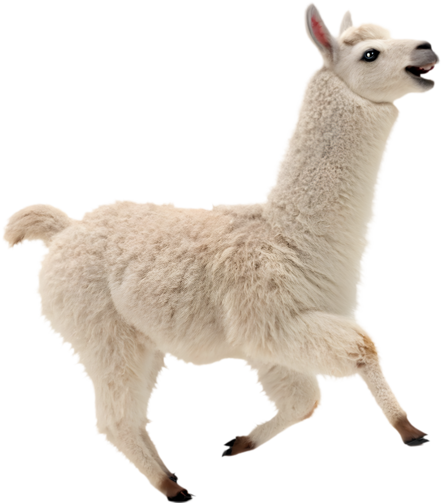 Adorable Kawaii Llama Running Joyfully in Clipart for Crafts. . png
