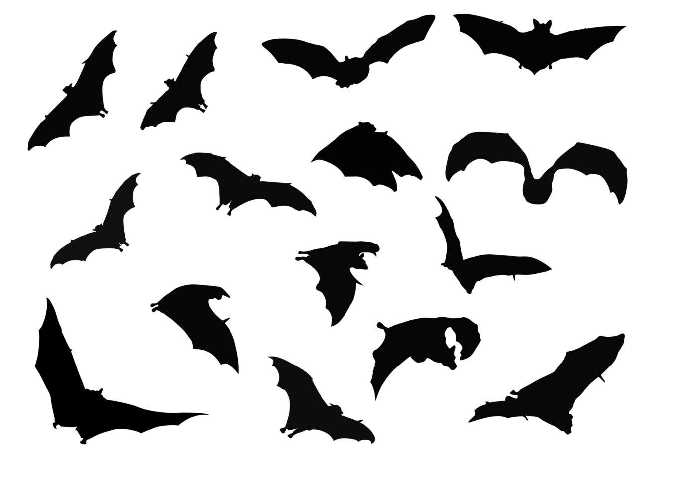 Bats, dark silhouette png
