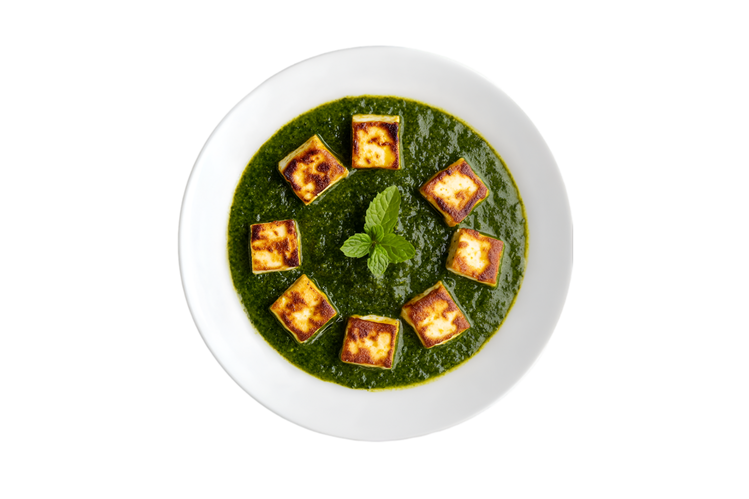 Palak paneer with fried paneer cubes on a plate isolated on a transparent background png
