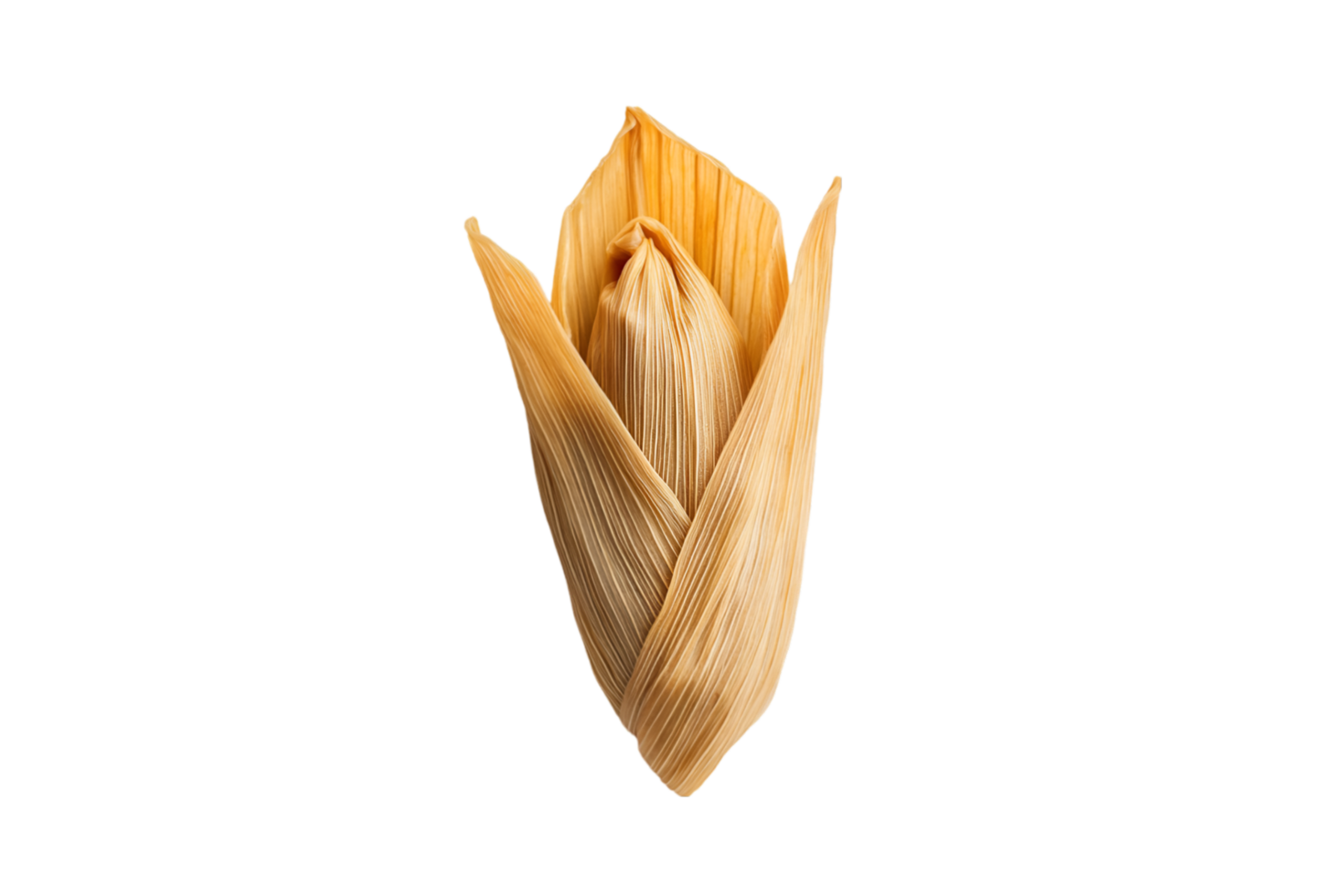 Tamale wrapped in corn husk isolated on a transparent background png