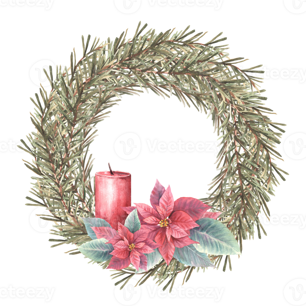 Christmas spruce branches evergreen advent wreath with red poinsettia flowers and flameless candle. Watercolor hand drawn illustration Circle advent template for festive card Isolated from background. png