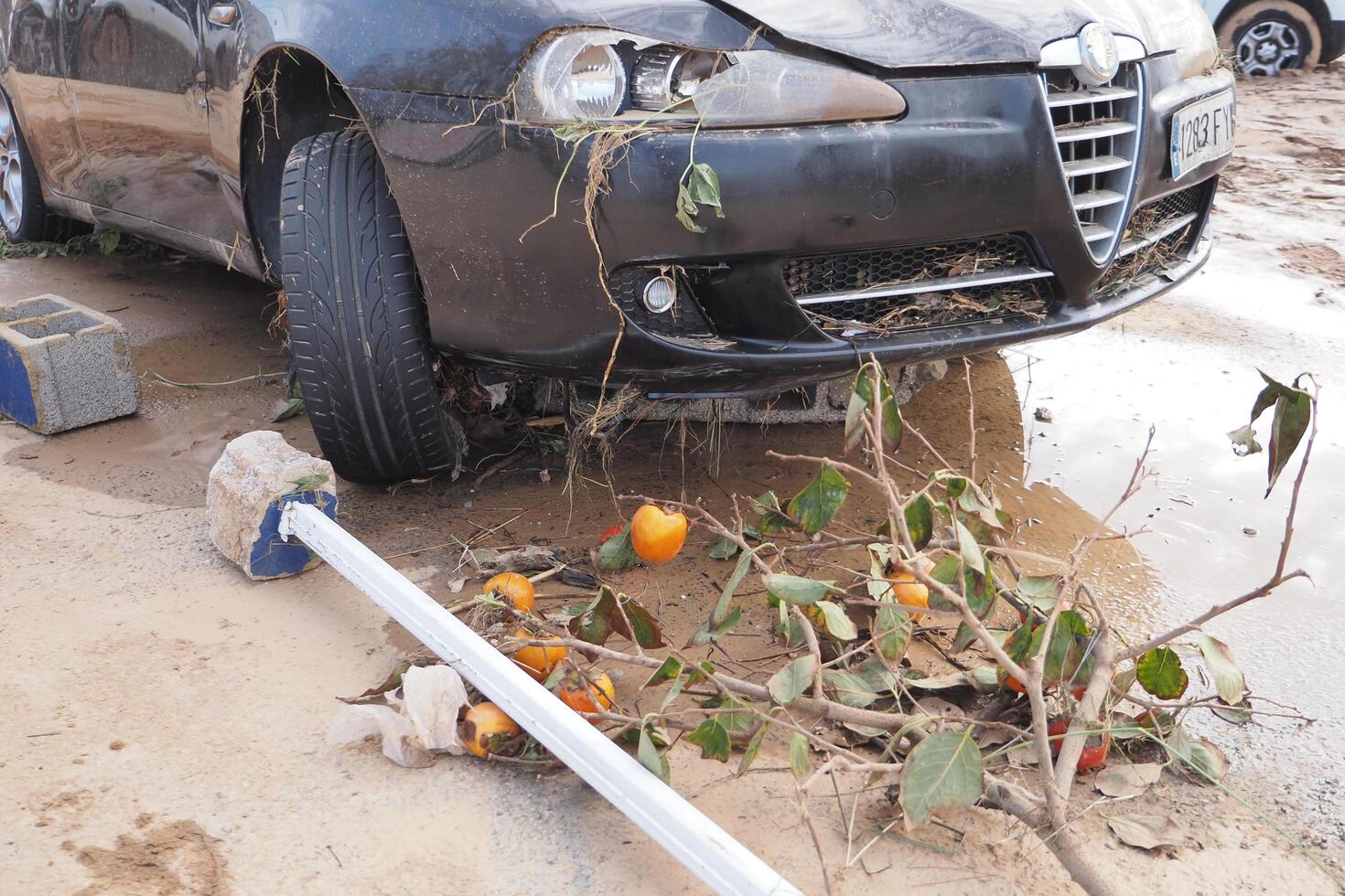 VALENCIA, SPAIN OCTOBER 31, 2024. Car damaged by floodwaters, surrounded by debris including branches and fruit, highlighting the devastating impact of natural disasters photo