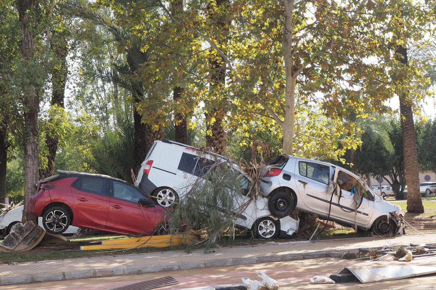 VALENCIA, SPAIN OCTOBER 31, 2024. Damaged vehicles piled up against a tree showing the devastating consequences of a recent flood in Valencia, Spain photo