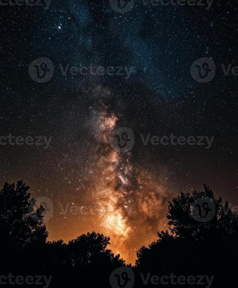 The milky way over the trees at night photo