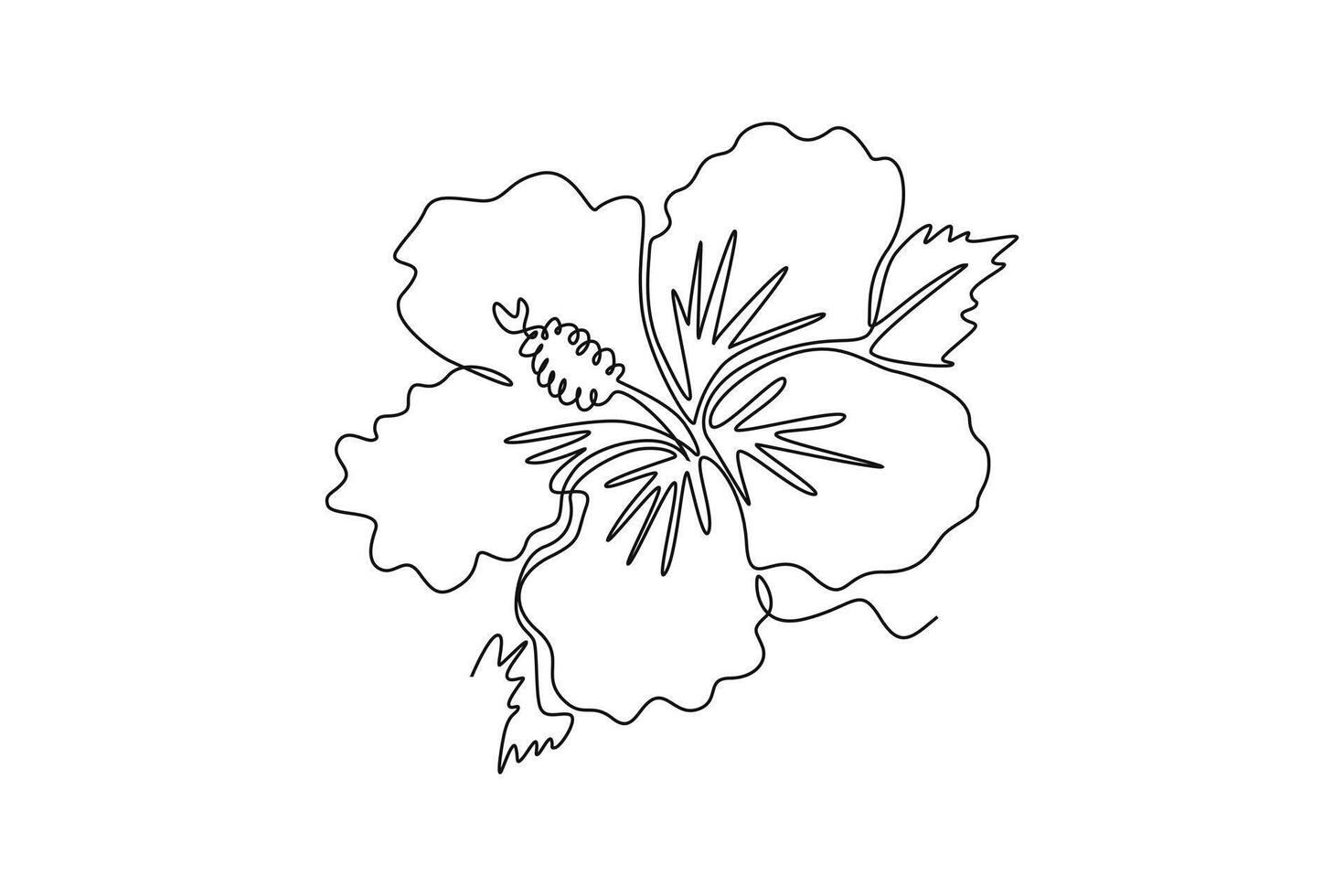 Continuous one line drawing of beauty fresh hibiscus for park logo identity. Printable decorative rose mallow flower concept wall home decor poster. Single line draw design graphic illustration vector