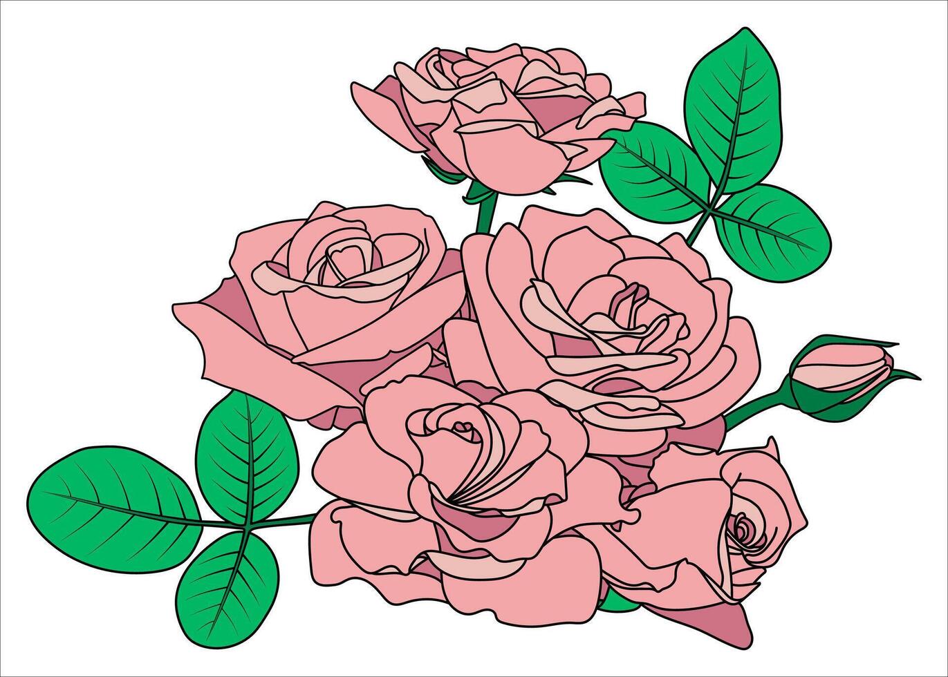 Light pink roses bouquet. Five blossoming buds, leaves, button. Simple colors, cartoon style, green, pink, black line. Isolated floral composition. Design element, Valentine, cards, invitations vector