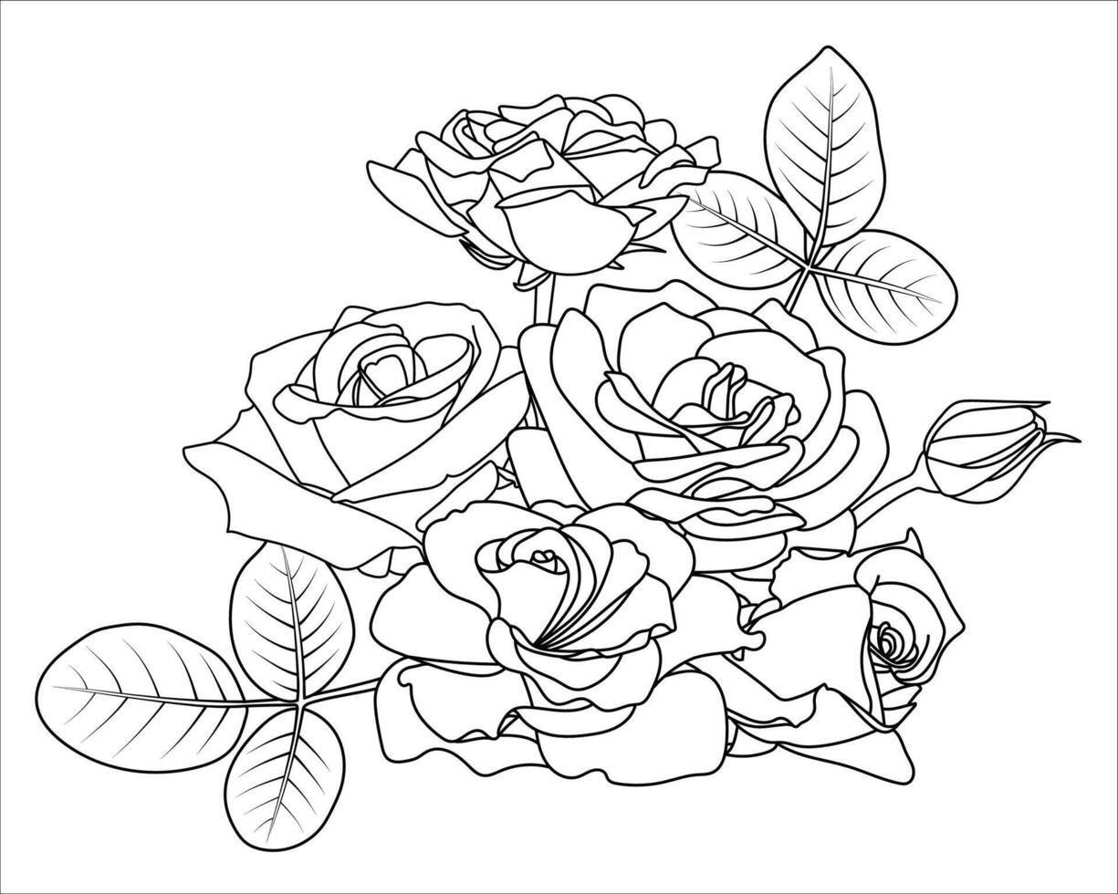 Floral Botanical Rose Composition. Roses, buds, leaves. Outline flowers bouquet. Design elements in contour style. Black on white. Coloring book page, Valentine, decor, cards, invitations vector
