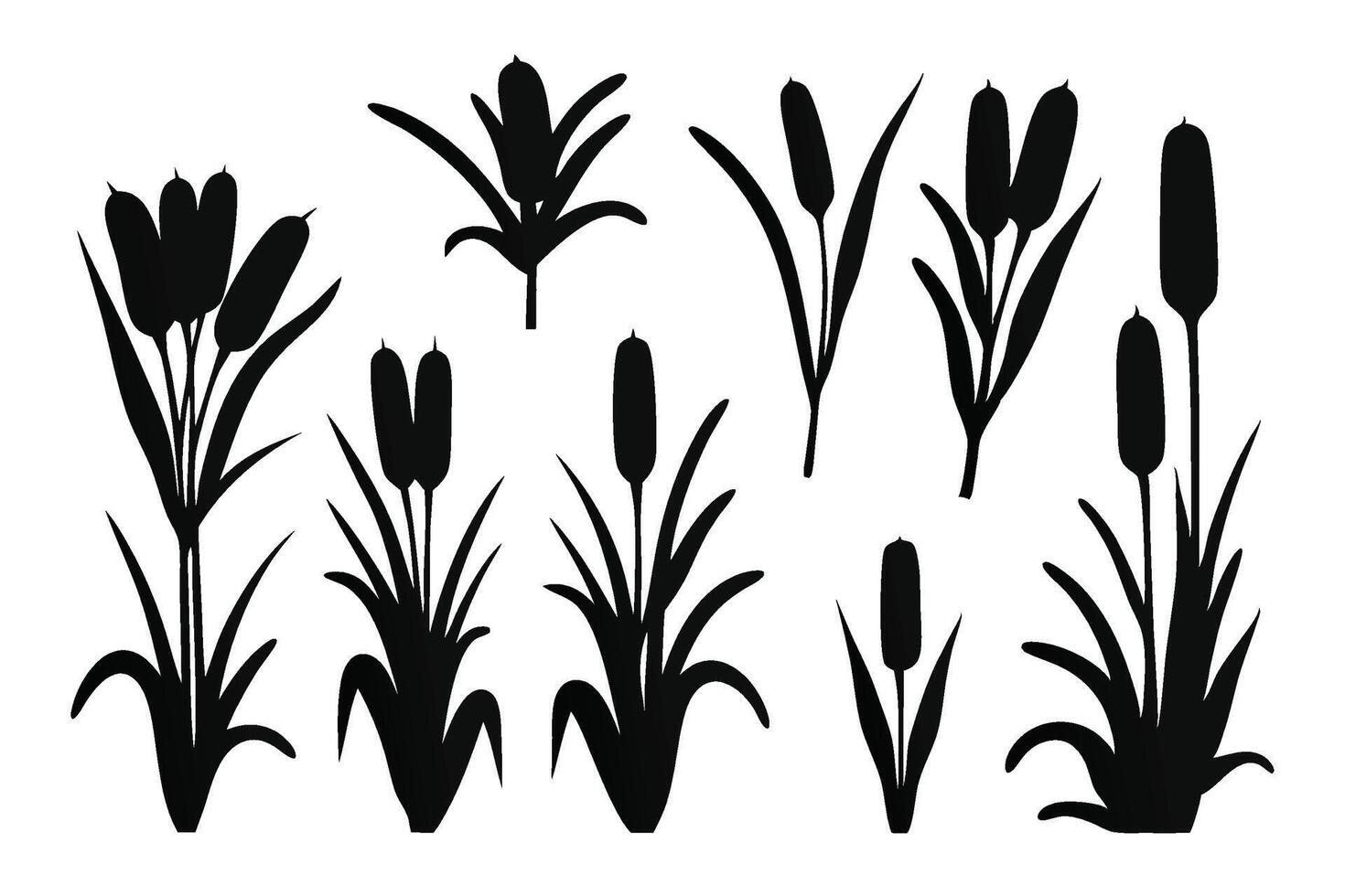 Reeds set silhouettes isolated flat illustration on white background vector