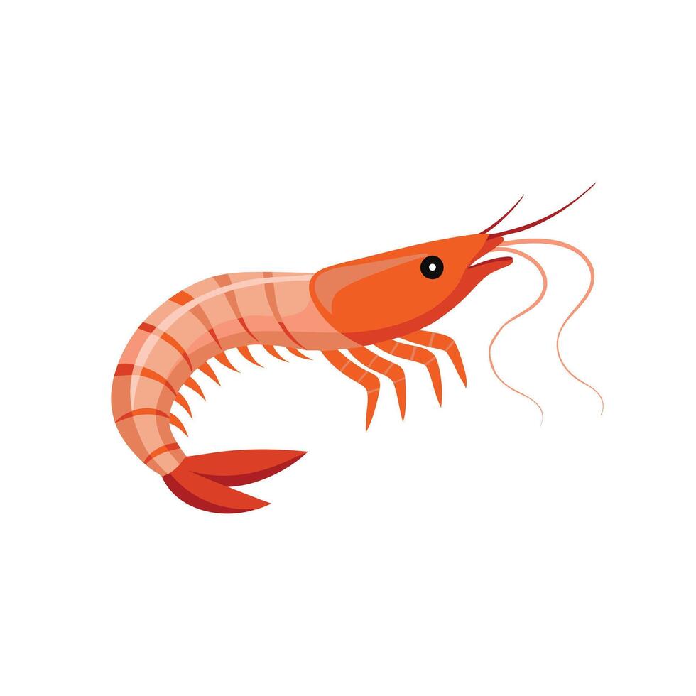 Amano Shrimp fish isolated flat illustration on white background. vector