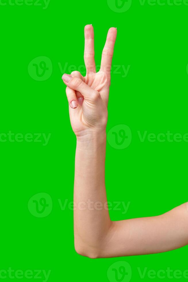 Woman's Hand Making the Peace Sign Against a Green Screen photo