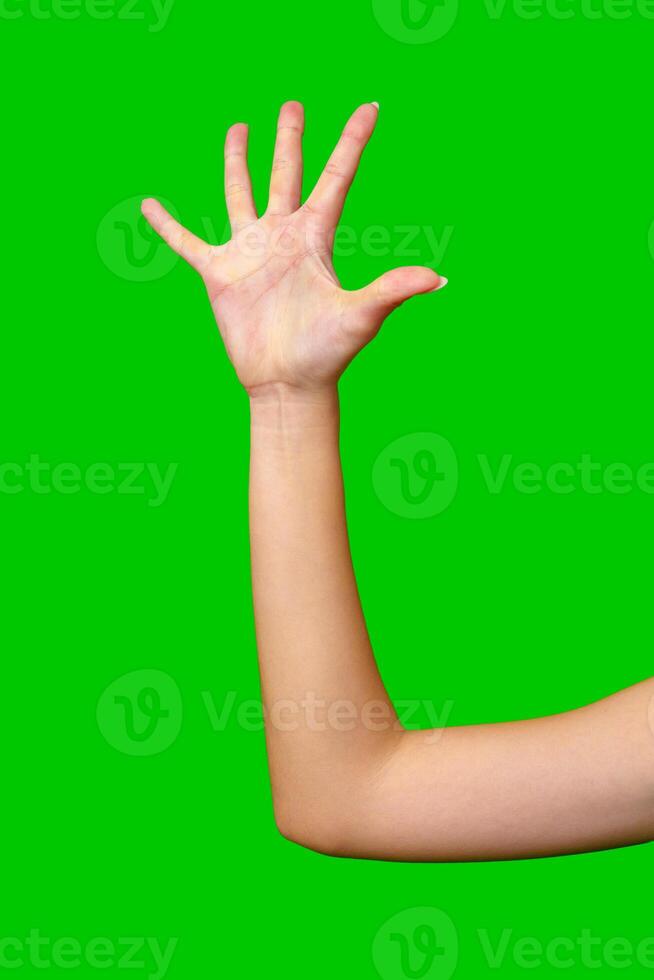 Woman's Hand Reaching Up Against Green Screen photo