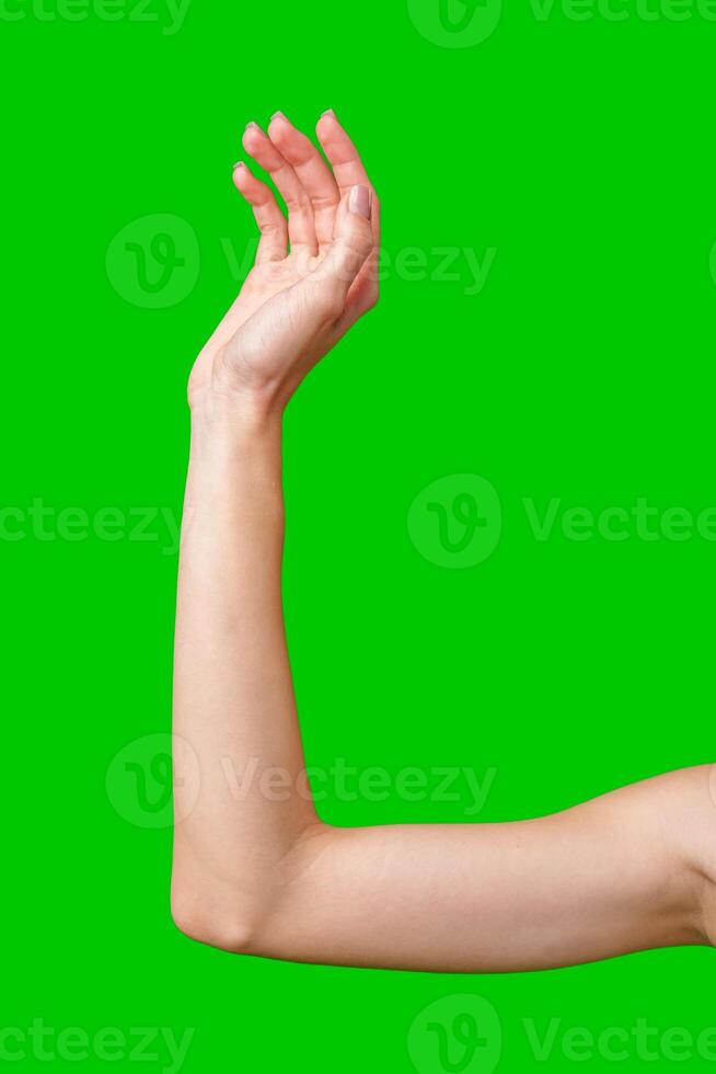 Woman's Open Hand Reaching Up on Green Screen Background photo