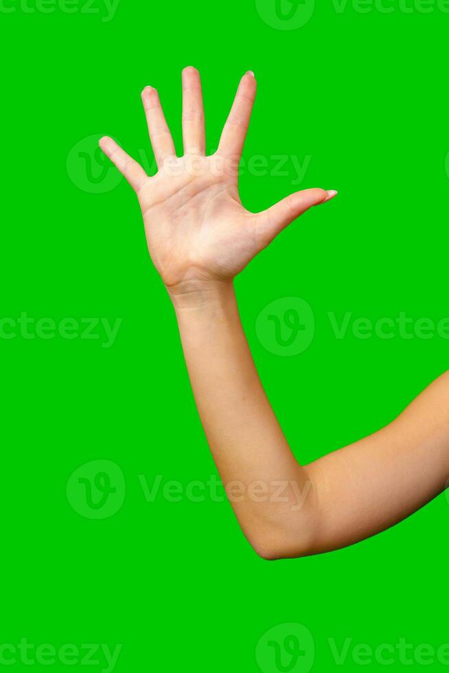 Woman Holding Out Hand on Green Screen photo