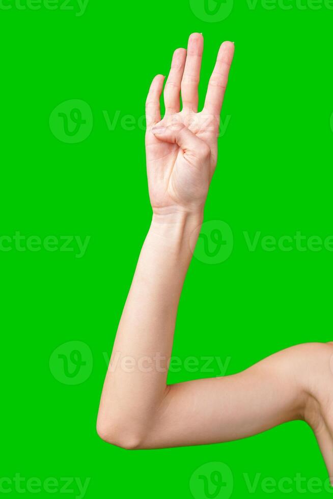 Woman's Hand Showing Three Fingers Raised Against a Green Screen Background photo