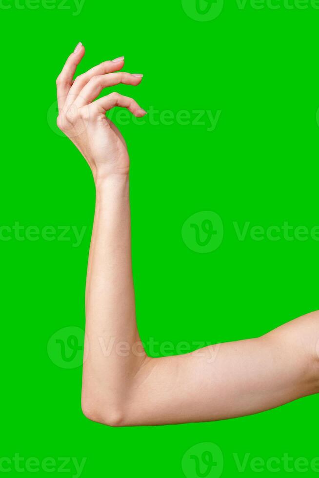 Woman's Hand Holding an Invisible Object Against a Green Screen photo
