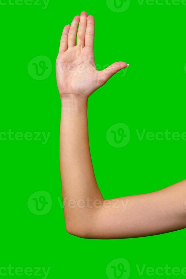 Female Hand and Forearm Raised in Front of Green Screen Background photo