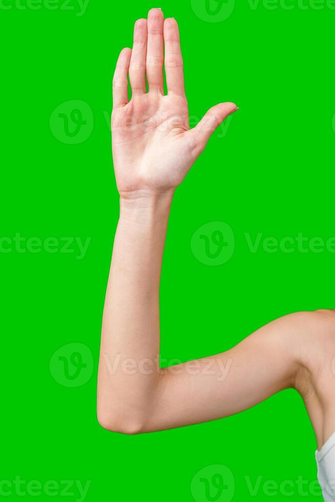 Woman's Hand Raised in Stop Gesture Against Green Screen photo