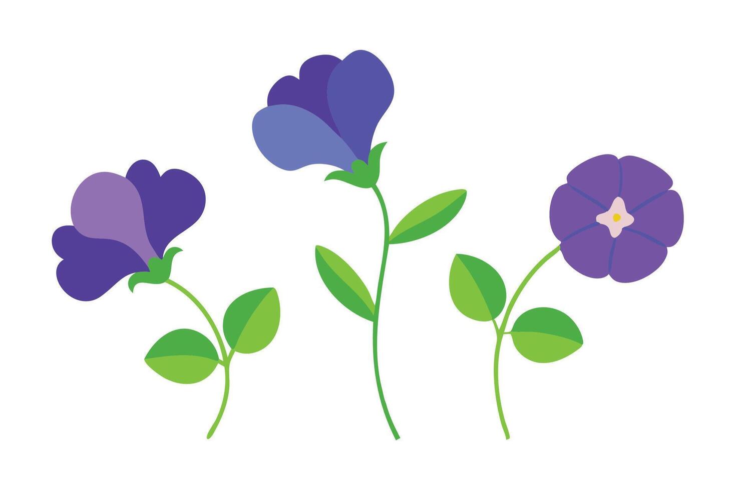 Various style Butterfly pea blue flowers isolated flat illustration on white background vector