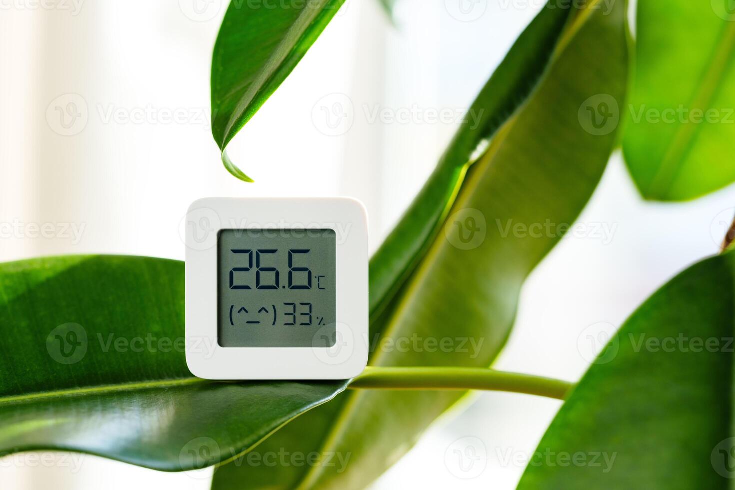 White Digital Thermometer Attached to a Plant Stem Showing a Temperature of 22 Degrees Celsius and a Humidity of 39 Percent photo
