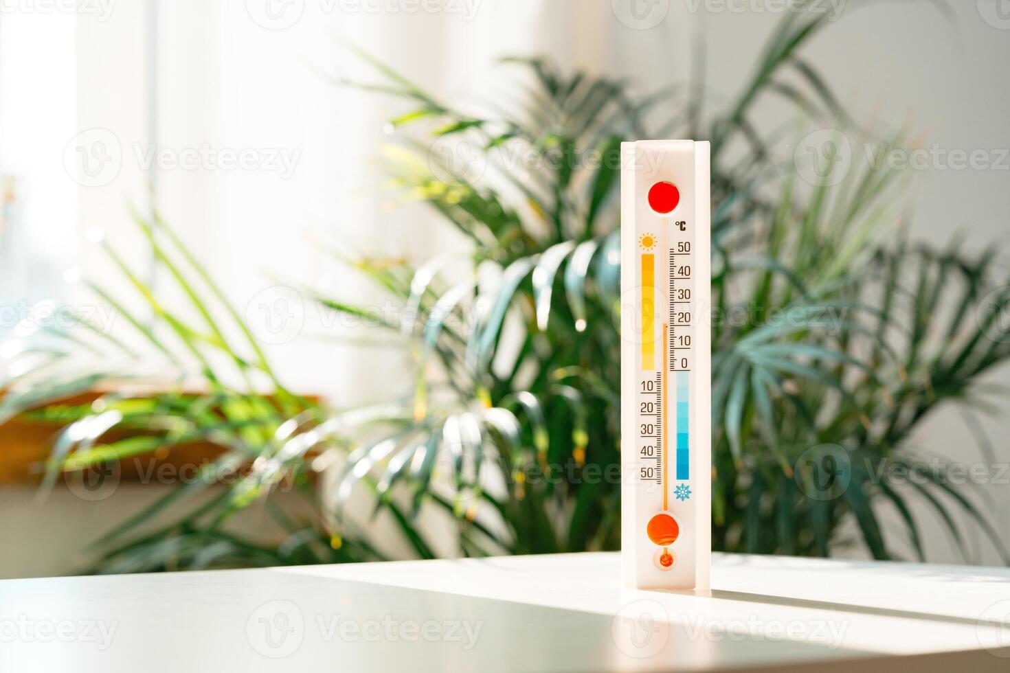A White Thermometer On A Table With A Green Plant In The Background photo