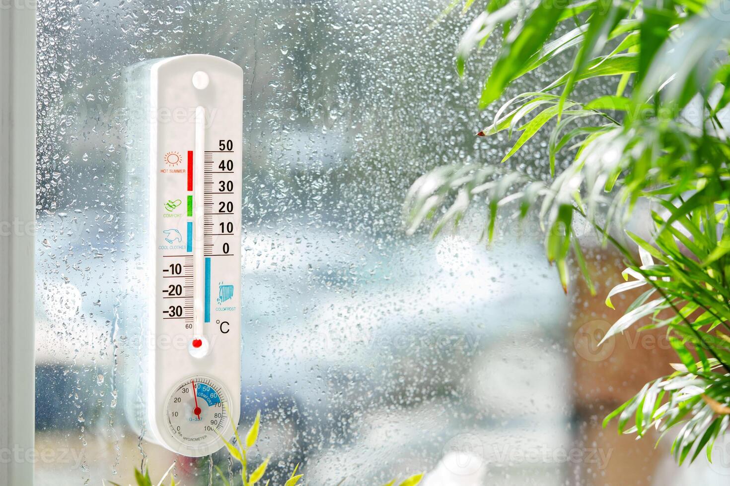 Thermometer Attached to Window With Rain and Plant photo