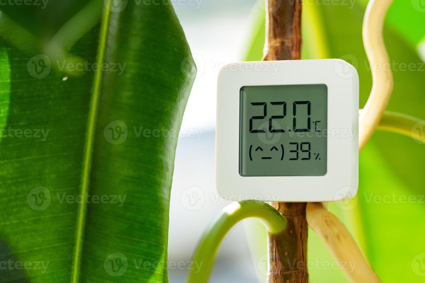 White Digital Thermometer Attached to a Plant Stem Showing a Temperature of 22 Degrees Celsius and a Humidity of 39 Percent photo
