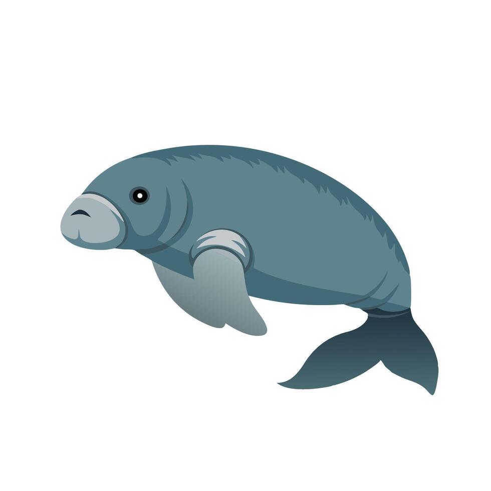 Manatee animal isolated flat illustration on white background. vector