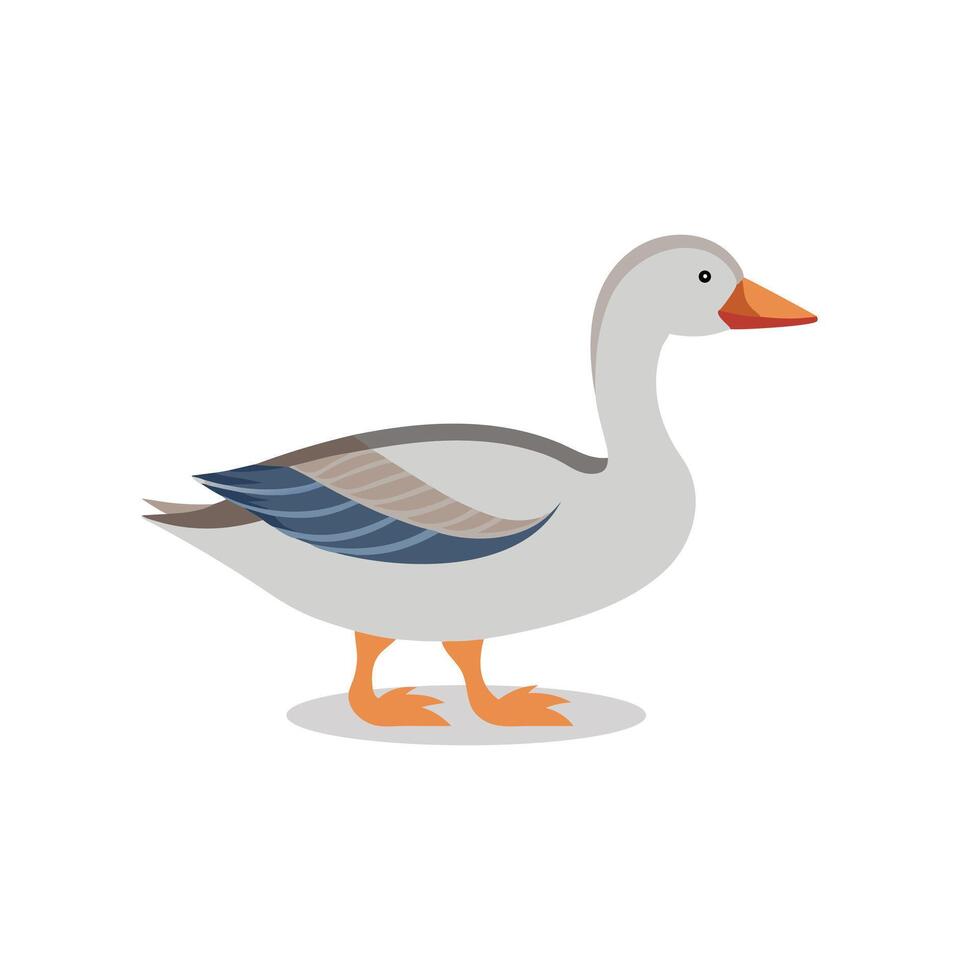 Goose animal isolated flat illustration on white background vector