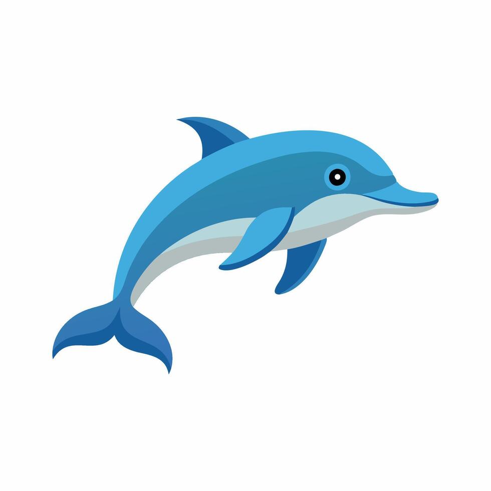 Dolphin animal isolated flat illustration on white background vector