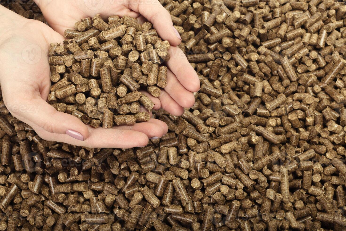 Human hand holding solid wooden pellets photo