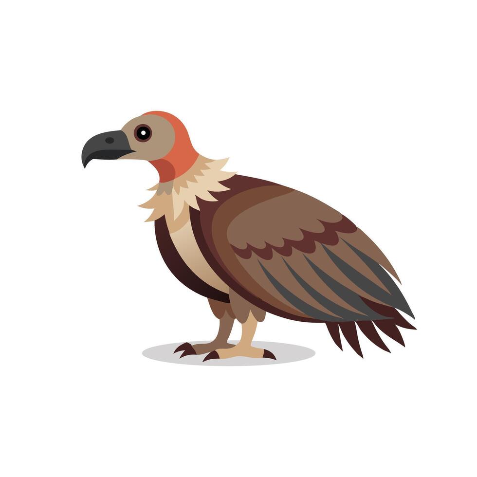 vulture animal isolated flat illustration on white background vector