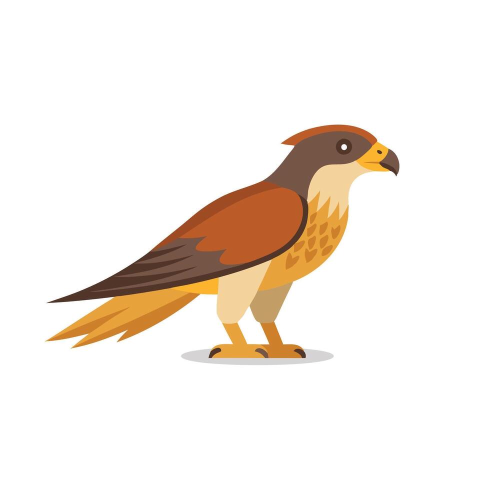 Falcon animal isolated flat illustration on white background. vector