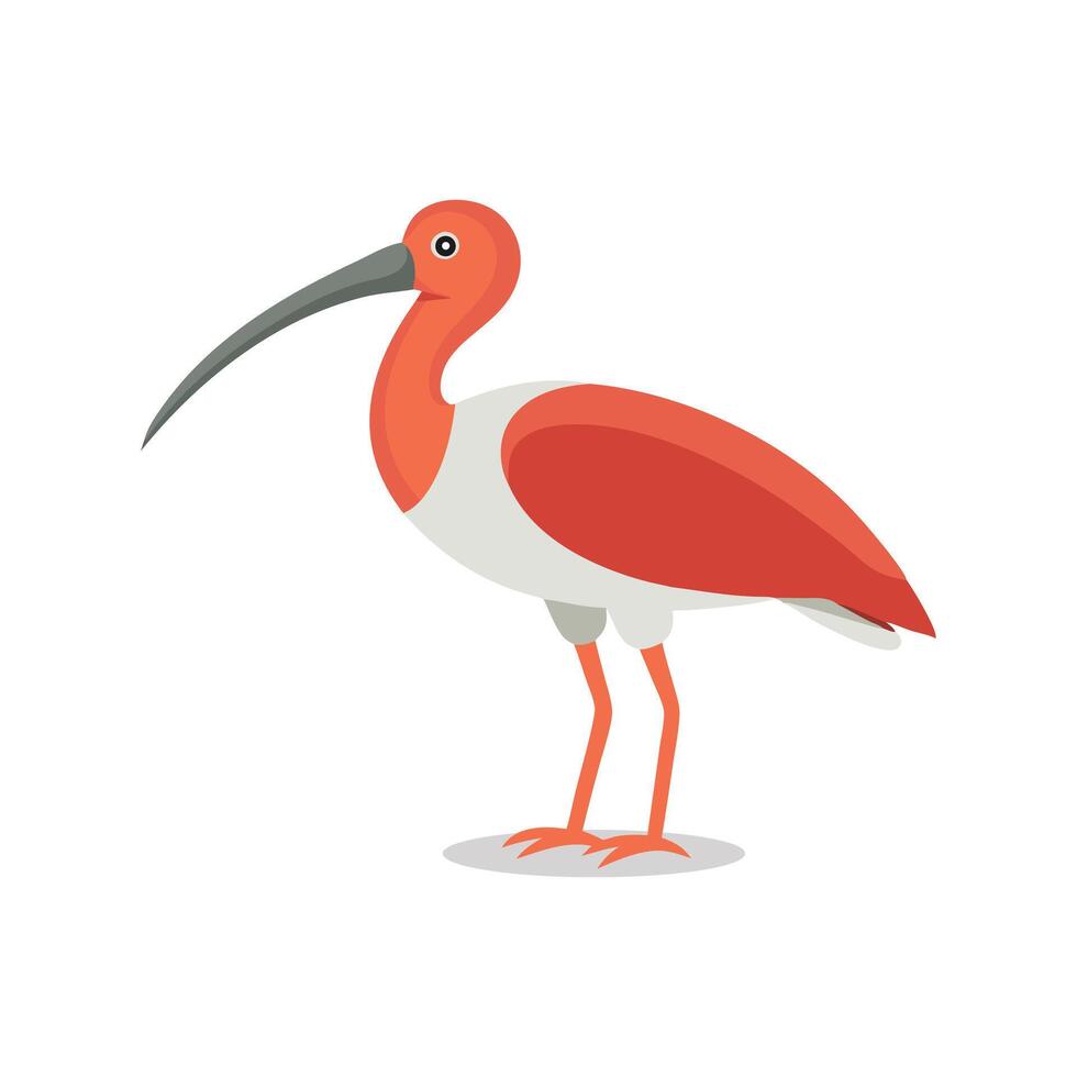 Ibis animal isolated flat illustration on white background vector
