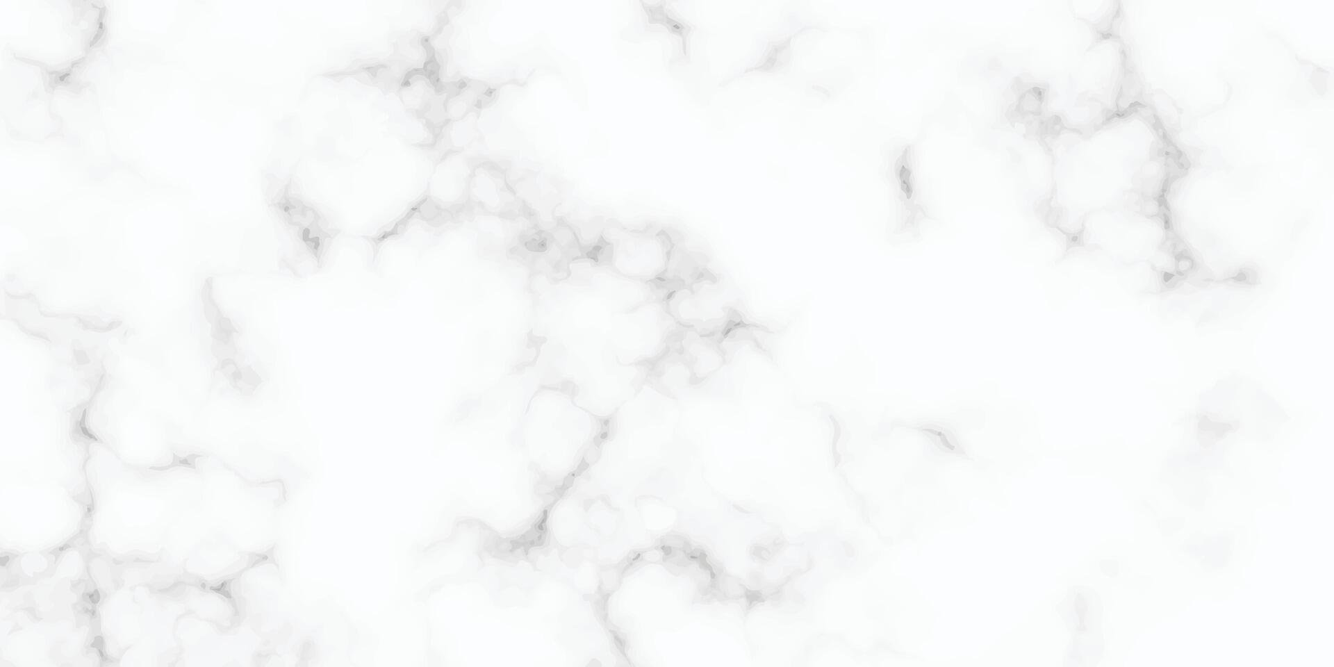 Abstract white marble texture background vector