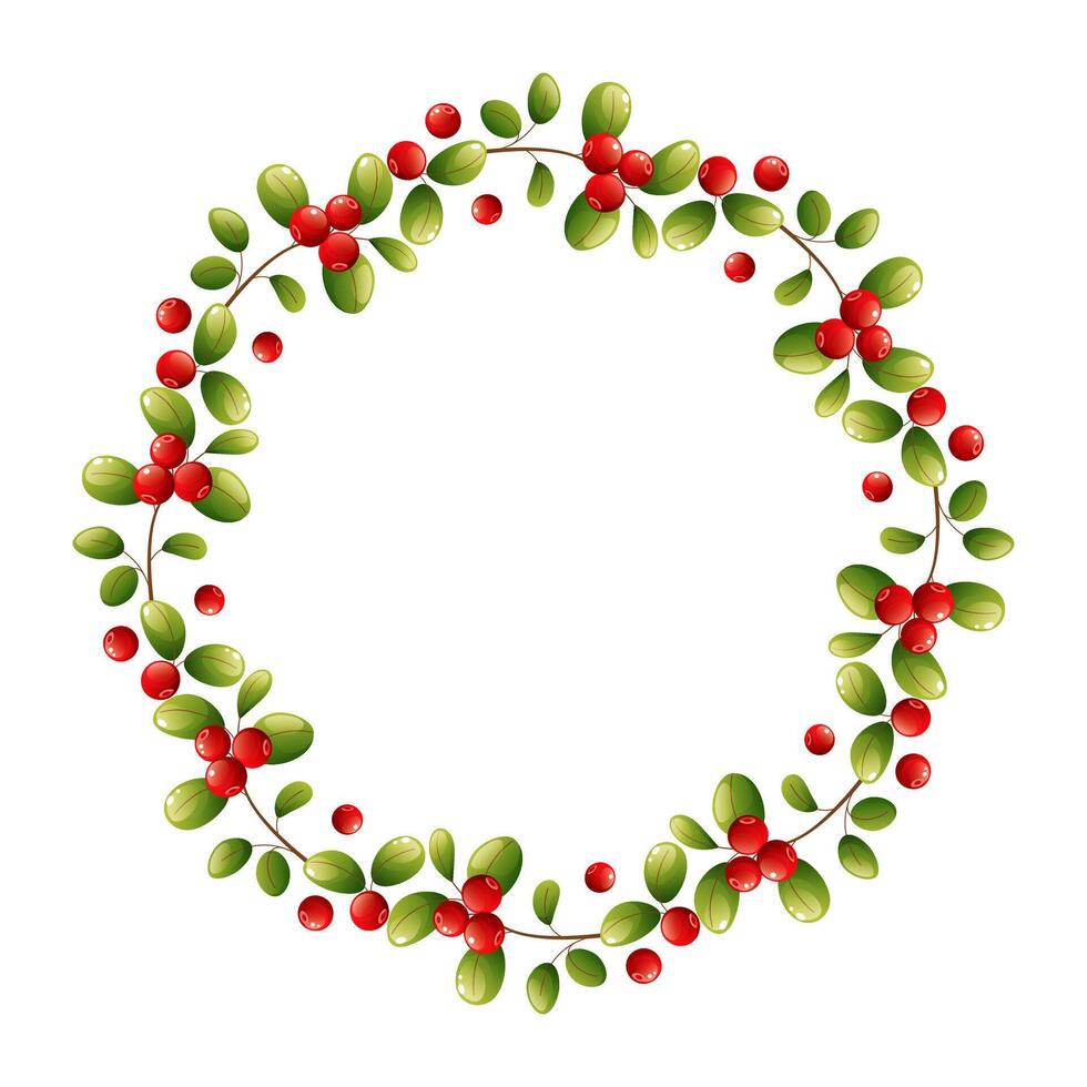 Christmas round wreath with green leaves and red berries on a white background. Wreath of holly, lingonberry, cranberry. New Year's winter frame of foliage and berries. vector