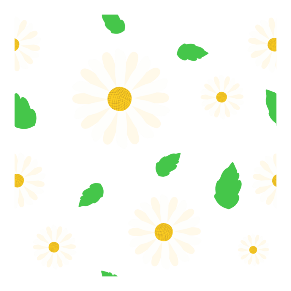 Daisy flower illustration seamless pattern png